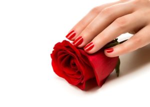 Woman hands with manicure red nails closeup and rose